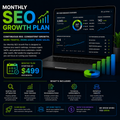 SEO Growth Plan